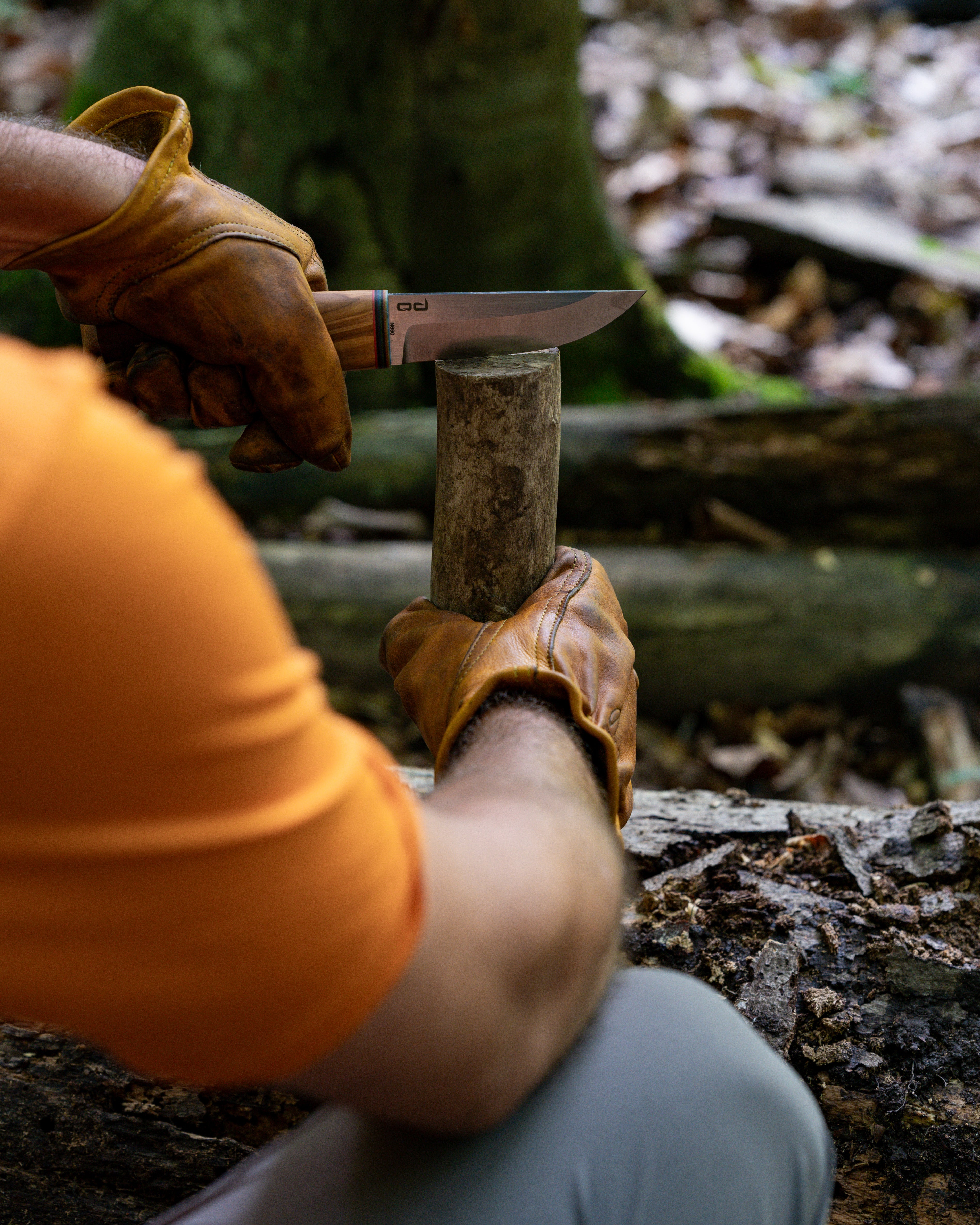 Bushcraft & Doğada Hayatta Kalma Meraklıları